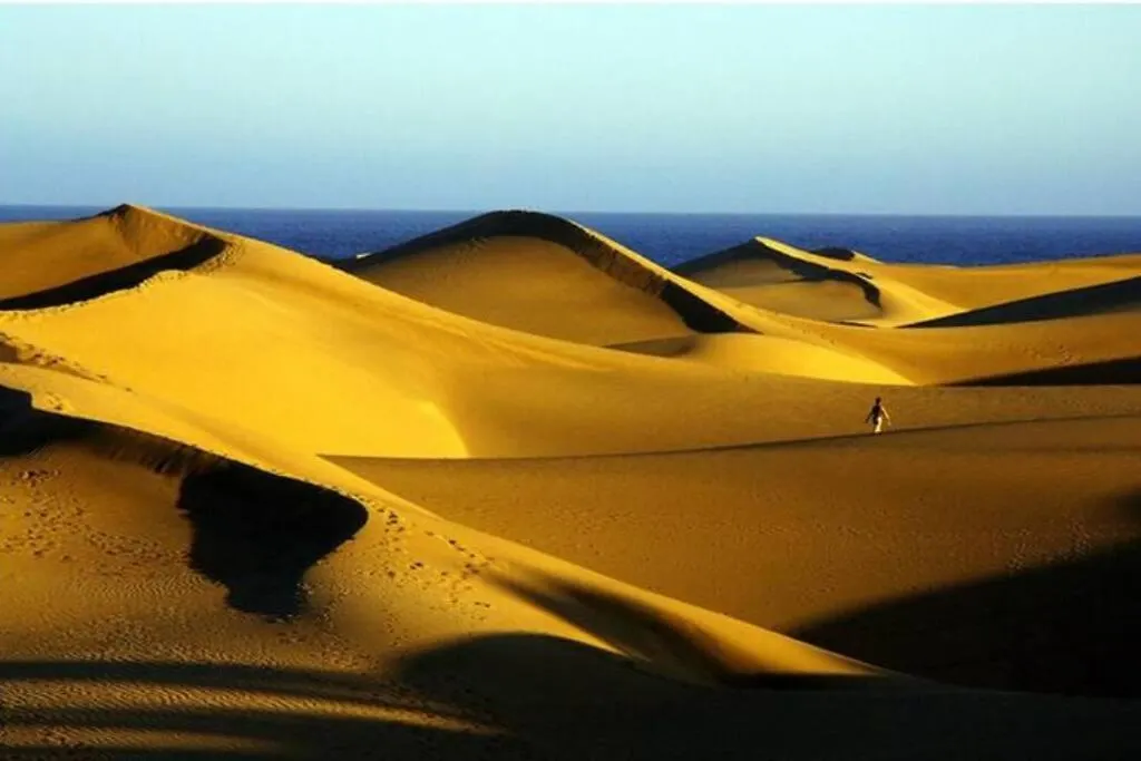 La Palmera 311 Maspalomas  0*, Maspalomas (Gran Canaria) Spagna