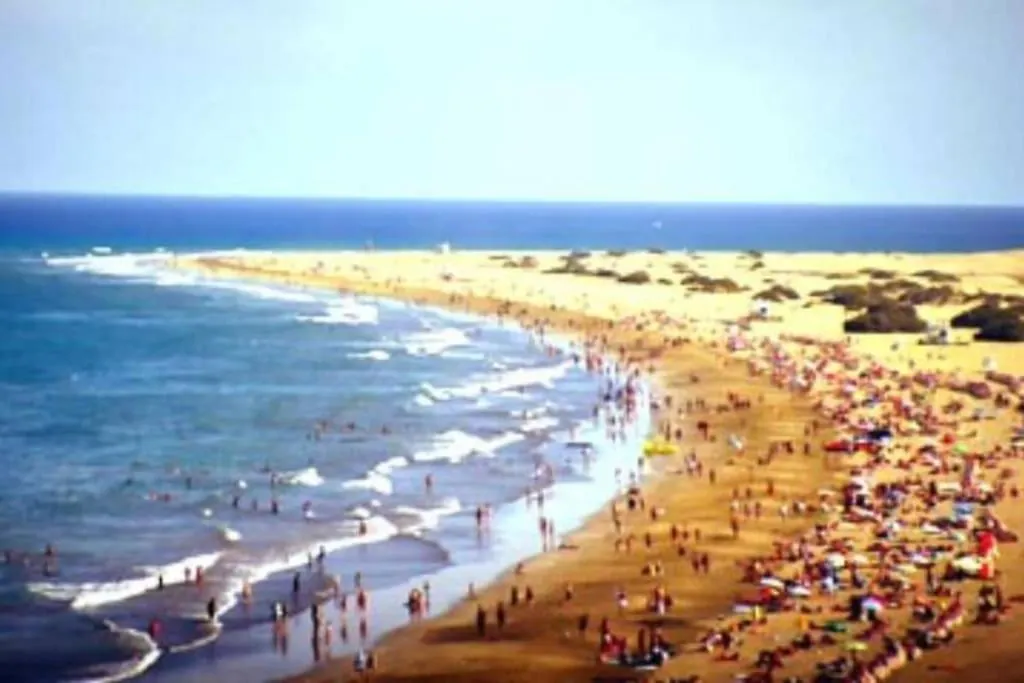 Apartment La Palmera 311 Maspalomas